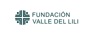 logo valledellili
